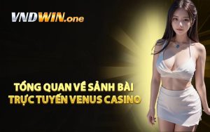Tổng Quan Về Sảnh Bài Trực Tuyến Venus Casino